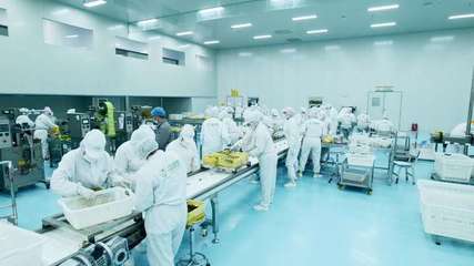 疆果果 深耕新疆堅果，以創(chuàng)新研發(fā)打造品質與文化融合的產業(yè)標桿